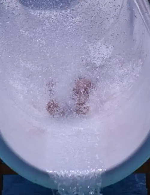 Pool-Slide--in-New-Orleans-Louisiana-pool-slide-new-orleans-louisiana.jpg-image